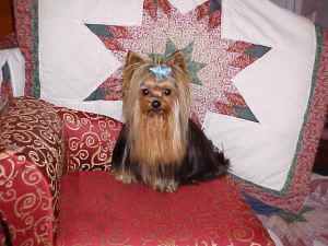 joey-05.JPG (84996 bytes)